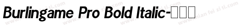 Burlingame Pro Bold Italic字体转换